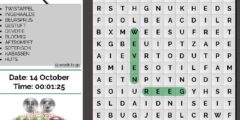 Dagelijkse Woordzoeker – BEST HTML5 Word Game